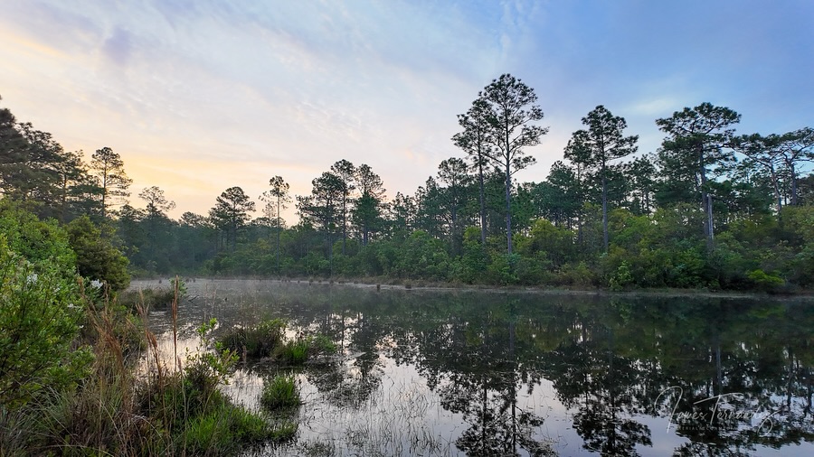 Okaloacoochee Slough State Forest