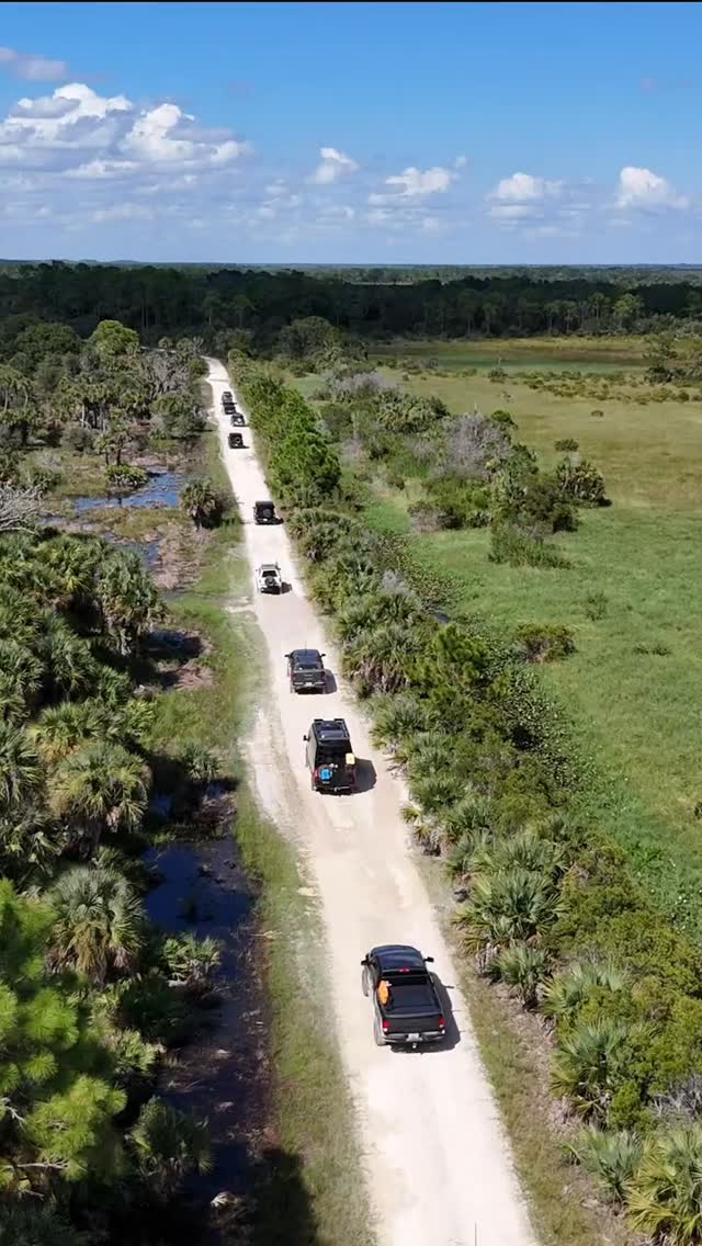 Aerial view of a straight levee trail through wetland